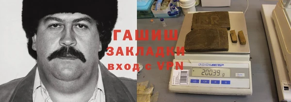 стаф Алзамай