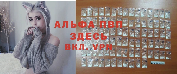 стаф Алзамай